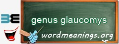WordMeaning blackboard for genus glaucomys